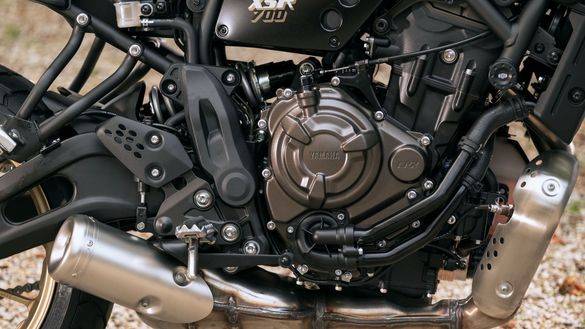 2023 Yamaha XSR700 CP2 Engine close-up shot